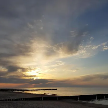 Elexia בית אירוח