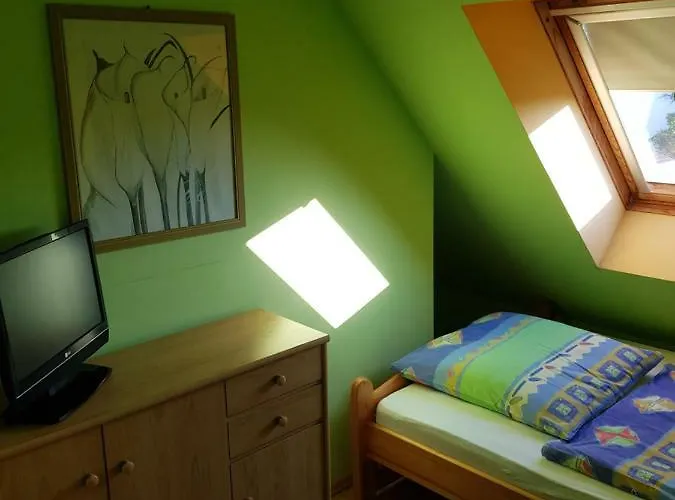 Elexia סיאנוז'טי