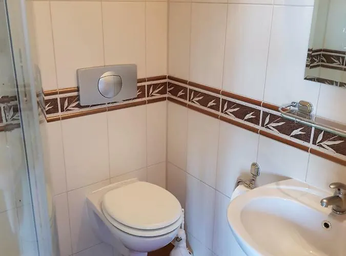 Elexia * סיאנוז'טי