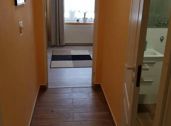 Elexia בית אירוח